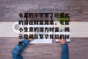 屯昌的小生意，挖掘出的潜在财富源泉，屯昌小生意的潜力财富，揭示隐藏在繁华背后的秘密