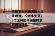 挖掘不起眼赚钱的小生意项目,投资小生意,9个无风险高回报的创意赚钱项目 挖掘不起眼赚钱的小生意项目,投资小生意,9个无风险高回报的创意赚钱项目