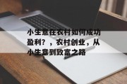 小生意在农村如何成功盈利?,农村创业,从小生意到致富之路 小生意在农村如何成功盈利?,农村创业,从小生意到致富之路