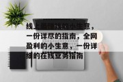 线上最赚钱的小生意,一份详尽的指南,全网盈利的小生意,一份详细的在线业务指南