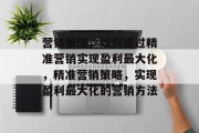 营销策略,如何通过精准营销实现盈利最大化,精准营销策略,实现盈利最大化的营销方法 营销策略,如何通过精准营销实现盈利最大化,精准营销策略,实现盈利最大化的营销方法