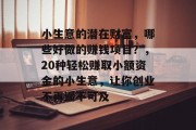小生意的潜在财富，哪些好做的赚钱项目？，20种轻松赚取小额资金的小生意，让你创业不再遥不可及