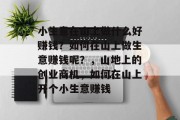 小生意在山上做什么好赚钱？如何在山上做生意赚钱呢？，山地上的创业商机，如何在山上开个小生意赚钱