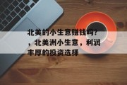 北美的小生意赚钱吗？，北美洲小生意，利润丰厚的投资选择
