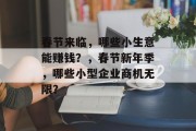 春节来临，哪些小生意能赚钱？，春节新年季，哪些小型企业商机无限？