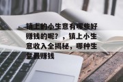 镇上的小生意有哪些好赚钱的呢?,镇上小生意收入全揭秘,哪种生意最赚钱 镇上的小生意有哪些好赚钱的呢?,镇上小生意收入全揭秘,哪种生意最赚钱