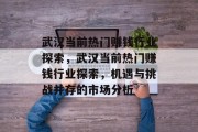 武汉当前热门赚钱行业探索,武汉当前热门赚钱行业探索,机遇与挑战并存的市场分析 武汉当前热门赚钱行业探索,武汉当前热门赚钱行业探索,机遇与挑战并存的市场分析