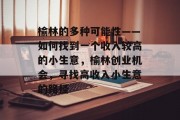 榆林的多种可能性——如何找到一个收入较高的小生意,榆林创业机会,寻找高收入小生意的路径 榆林的多种可能性——如何找到一个收入较高的小生意,榆林创业机会,寻找高收入小生意的路径