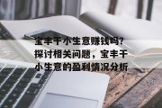 宝丰干小生意赚钱吗?探讨相关问题,宝丰干小生意的盈利情况分析 宝丰干小生意赚钱吗?探讨相关问题,宝丰干小生意的盈利情况分析