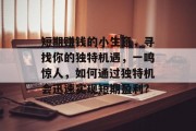 短期赚钱的小生意,寻找你的独特机遇,一鸣惊人,如何通过独特机会迅速实现短期盈利? 短期赚钱的小生意,寻找你的独特机遇,一鸣惊人,如何通过独特机会迅速实现短期盈利?