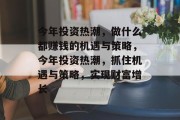 今年投资热潮,做什么都赚钱的机遇与策略,今年投资热潮,抓住机遇与策略,实现财富增长