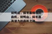 双鸭山，探寻最赚钱的商机，双鸭山，探寻最具潜力的商机之路