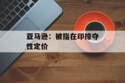 亚马逊:被指在印掠夺性定价 亚马逊:被指在印掠夺性定价
