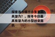 探索当今哪个小生意最具潜力?,探寻今日最具有潜力的小型创业商机 探索当今哪个小生意最具潜力?,探寻今日最具有潜力的小型创业商机