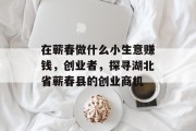 在蕲春做什么小生意赚钱,创业者,探寻湖北省蕲春县的创业商机