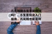 几元钱做小生意能赚钱吗?,小生意投资入门指南,几元钱也能盈利的商机 几元钱做小生意能赚钱吗?,小生意投资入门指南,几元钱也能盈利的商机