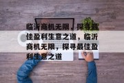临沂商机无限，探寻最佳盈利生意之道，临沂商机无限，探寻最佳盈利生意之道