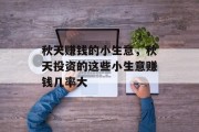 秋天赚钱的小生意,秋天投资的这些小生意赚钱几率大