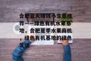 合肥夏天赚钱小生意推荐——绿色有机水果基地,合肥夏季水果商机,绿色有机基地的绿色生活 合肥夏天赚钱小生意推荐——绿色有机水果基地,合肥夏季水果商机,绿色有机基地的绿色生活