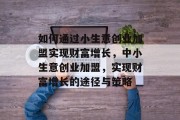 如何通过小生意创业加盟实现财富增长,中小生意创业加盟,实现财富增长的途径与策略