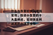什么小生意好做又赚钱见效,投资小生意的十大盈利点,见效快且利润高的小项目推荐 什么小生意好做又赚钱见效,投资小生意的十大盈利点,见效快且利润高的小项目推荐