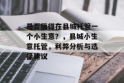 是否值得在县城托管一个小生意？，县城小生意托管，利弊分析与选择建议