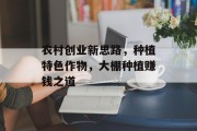 农村创业新思路,种植特色作物,大棚种植赚钱之道