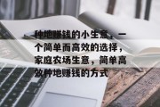 种地赚钱的小生意,一个简单而高效的选择,家庭农场生意,简单高效种地赚钱的方式 种地赚钱的小生意,一个简单而高效的选择,家庭农场生意,简单高效种地赚钱的方式