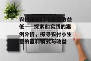 农村赚钱的小生意收益低——探索和实践的案例分析,探寻农村小生意的盈利模式与收益 农村赚钱的小生意收益低——探索和实践的案例分析,探寻农村小生意的盈利模式与收益