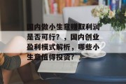 国内做小生意赚取利润是否可行？，国内创业盈利模式解析，哪些小生意值得投资?