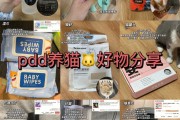 拼多多双十一养猫在哪里找 拼多多双十一养猫在哪里找