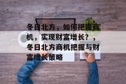 冬日北方，如何把握商机，实现财富增长？，冬日北方商机把握与财富增长策略