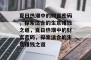 夏日热潮中的财富密码,探索适合的生意赚钱之道,夏日热潮中的财富密码,探索适合的生意赚钱之道
