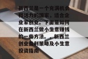 新西兰是一个充满机会和活力的国家,适合企业家创业。下面是如何在新西兰做小生意赚钱的一些方法。,新西兰创业盈利策略及小生意投资指南 新西兰是一个充满机会和活力的国家,适合企业家创业。下面是如何在新西兰做小生意赚钱的一些方法。,新西兰创业盈利策略及小生意投资指南