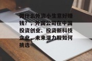 做什么外资小生意好赚钱?,外国公司在中国投资创业、投资新科技企业,未来潜力股如何挑选