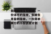 假期的小生意赚钱,一份详尽的指南,假期生意盈利指南,一份简单易行的小型创业计划