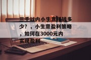 三千以内小生意赚钱多少?,小生意盈利策略,如何在3000元内实现盈利 三千以内小生意赚钱多少?,小生意盈利策略,如何在3000元内实现盈利