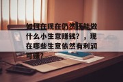 如何在现在仍然还能做什么小生意赚钱?,现在哪些生意依然有利润可赚? 如何在现在仍然还能做什么小生意赚钱?,现在哪些生意依然有利润可赚?