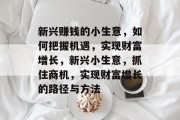新兴赚钱的小生意,如何把握机遇,实现财富增长,新兴小生意,抓住商机,实现财富增长的路径与方法 新兴赚钱的小生意,如何把握机遇,实现财富增长,新兴小生意,抓住商机,实现财富增长的路径与方法
