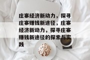 庄寨经济新动力,探寻庄寨赚钱新途径,庄寨经济新动力,探寻庄寨赚钱新途径的探索与实践
