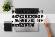 张北的商业之路，如何通过特定生意实现盈利，张北商业之路，特定生意的盈利策略