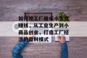 如何把工厂做成小生意赚钱,从工业生产到小商品创业,打造工厂经济的盈利模式