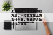 上海农村小生意的赚钱方法,一招教你在上海农村创业,赚钱好方法与技巧分享 上海农村小生意的赚钱方法,一招教你在上海农村创业,赚钱好方法与技巧分享