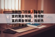 当前热门行业,探寻财富的黄金领域,探寻财富的黄金领域,当前热门行业解析 当前热门行业,探寻财富的黄金领域,探寻财富的黄金领域,当前热门行业解析