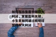 如何在小生意中赚取大利润,掌握盈利关键,小生意如何通过精明经营赚取大利润 如何在小生意中赚取大利润,掌握盈利关键,小生意如何通过精明经营赚取大利润