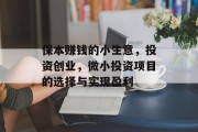 保本赚钱的小生意,投资创业,微小投资项目的选择与实现盈利