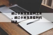 通辽小本生意盈利之术,通辽小本生意盈利的秘诀