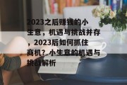 2023之后赚钱的小生意,机遇与挑战并存,2023后如何抓住商机?小生意的机遇与挑战解析 2023之后赚钱的小生意,机遇与挑战并存,2023后如何抓住商机?小生意的机遇与挑战解析