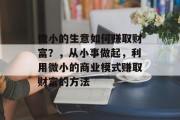 微小的生意如何赚取财富?,从小事做起,利用微小的商业模式赚取财富的方法 微小的生意如何赚取财富?,从小事做起,利用微小的商业模式赚取财富的方法