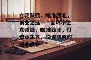 立足陕西，瞄准西北，创业之选——宝鸡小生意赚钱，瞄准西北，打造小生意，投资陕西的创业机会